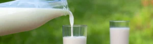 Dairy