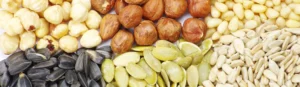 Seeds